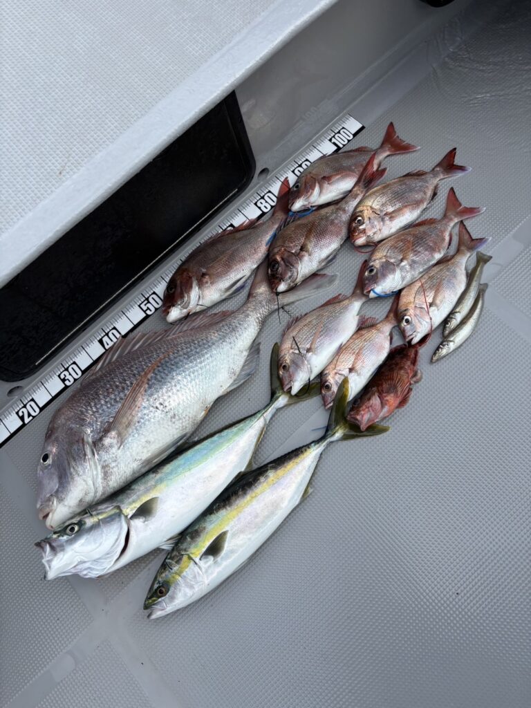 チャーター281 明石海峡 タイラバ