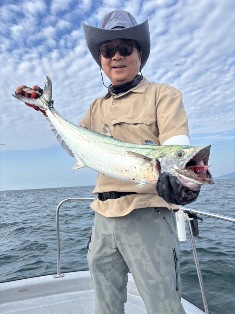 チャーター293 神戸港 サワラ