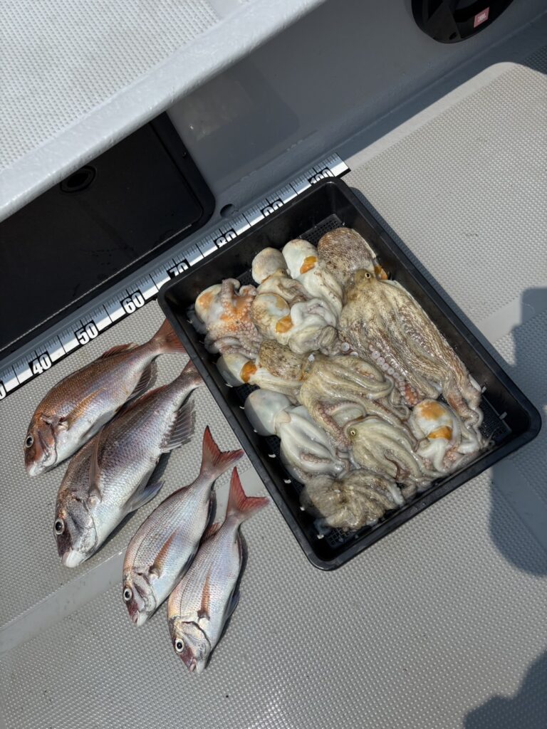 チャーター296 明石海峡 タイラバ、タコ