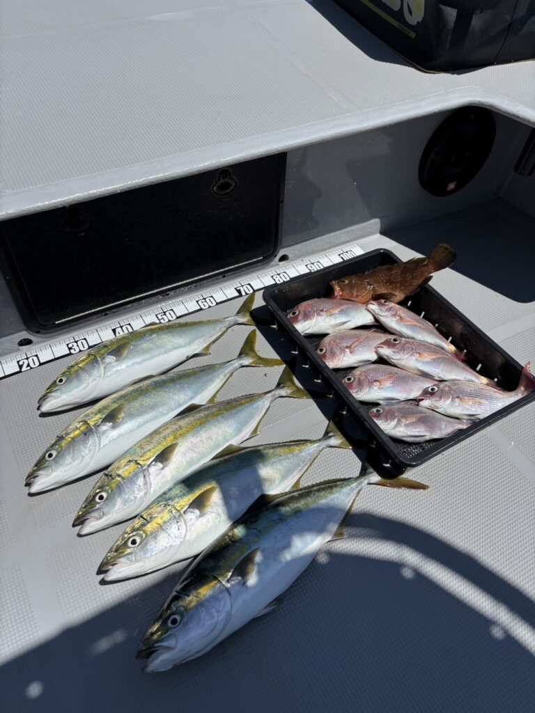 チャーター300 タイラバ サビキ 明石海峡