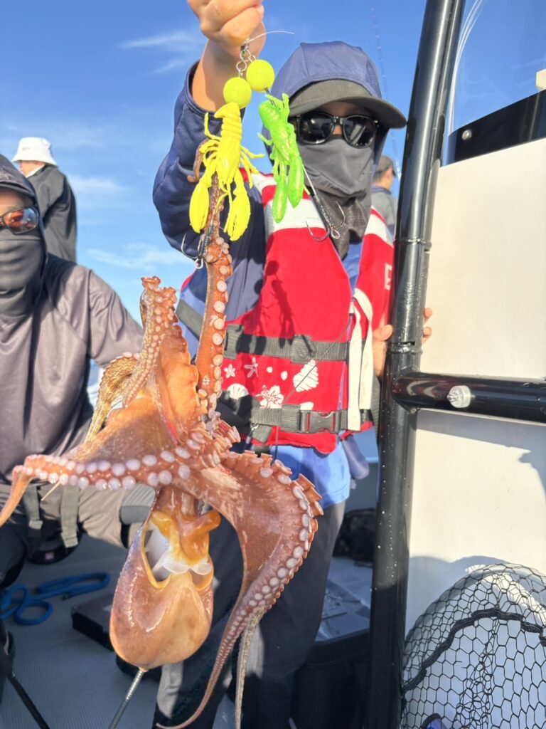 チャーター303 明石海峡 タコ