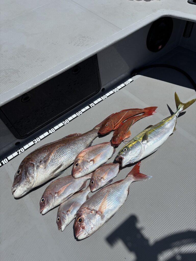 チャーター309 タイラバ 明石海峡