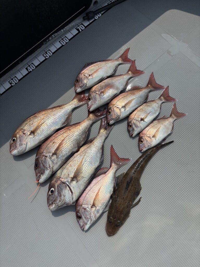 チャーター314 明石海峡 タイラバ