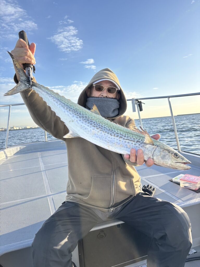 チャーター335 神戸港 サワラキャスティング