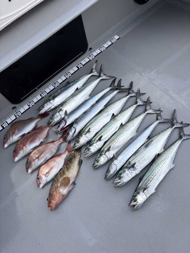 チャーター343 サワラキャスティング、タイラバ