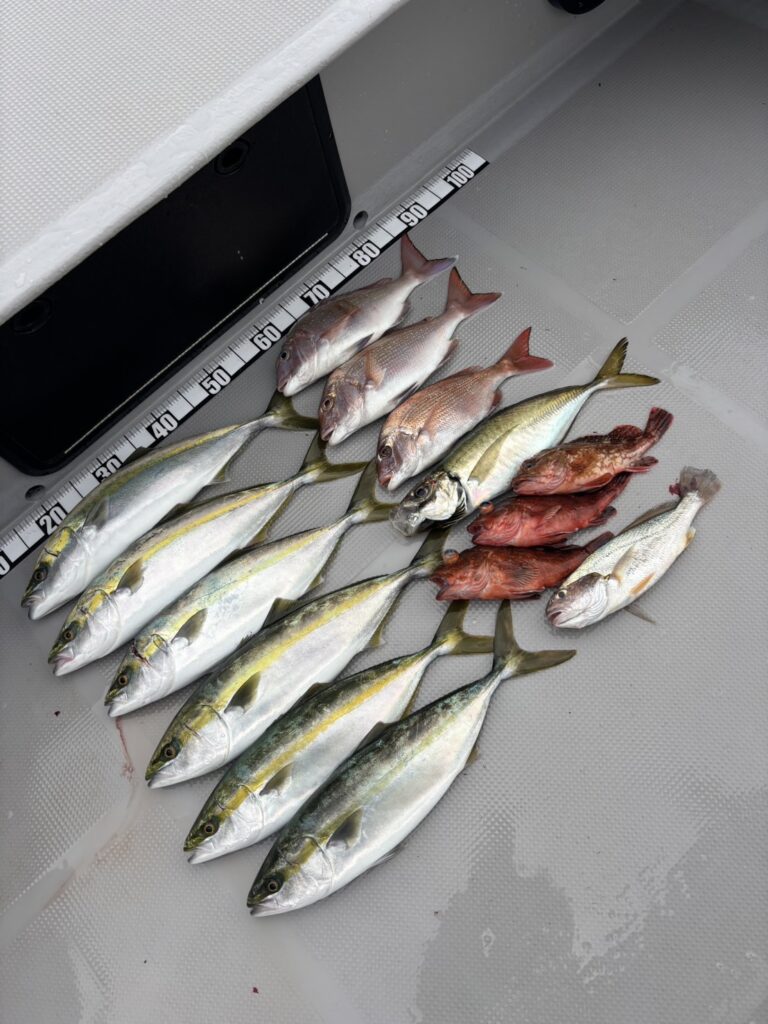 チャーター350 明石海峡 タイラバ、ジギング