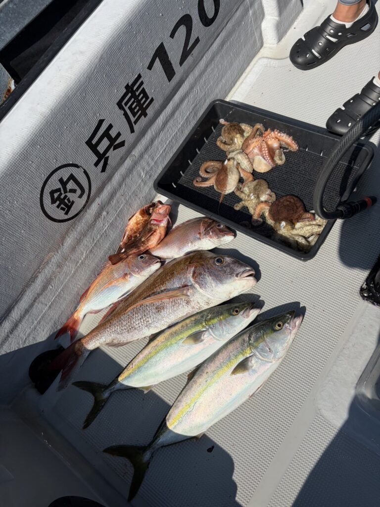 チャーター374 明石海峡 タコ タイラバ ジギング