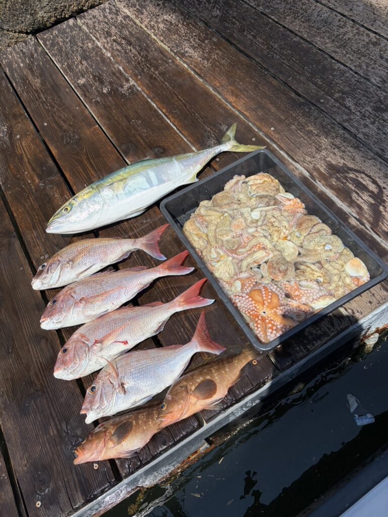 チャーター379 タイラバ ジギング タコ 明石海峡
